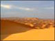 Desert Safari